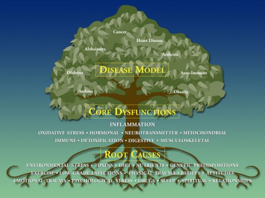 Functional-Medicine-Tree